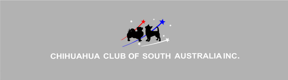 Chihuahua Club of SA Inc